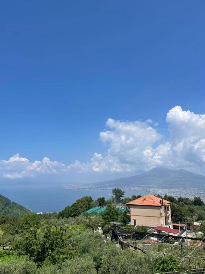 Villa Marilu Pimonte Exteriör bild